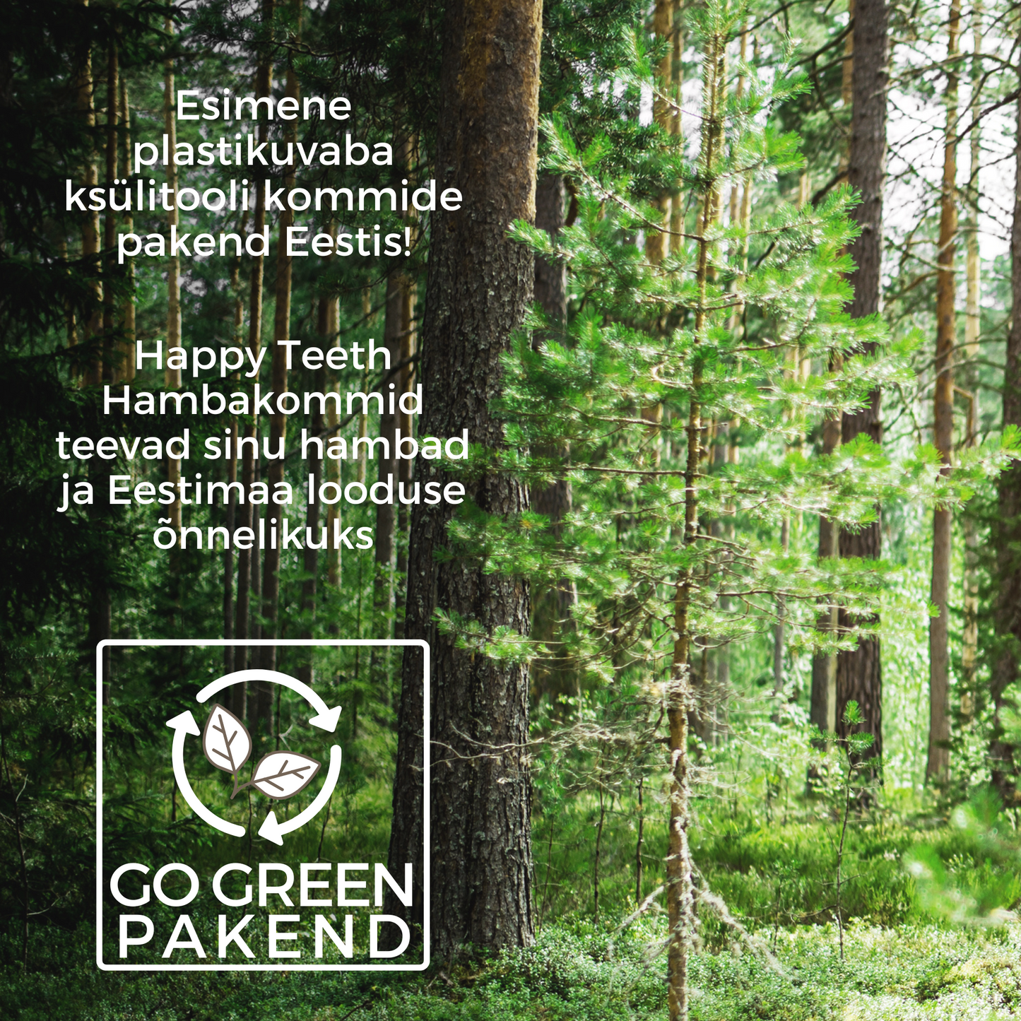 Happy Teeth ksülitooliga hambakommid - Šoko-Münt 100g / 165tk